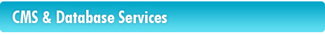 CMS and Database Development